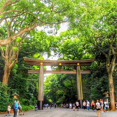 パワースポット♪