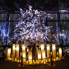 ナイトタワー♪