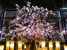 桜 キャンドルモニュメント