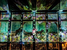 プロジェクションマッピング